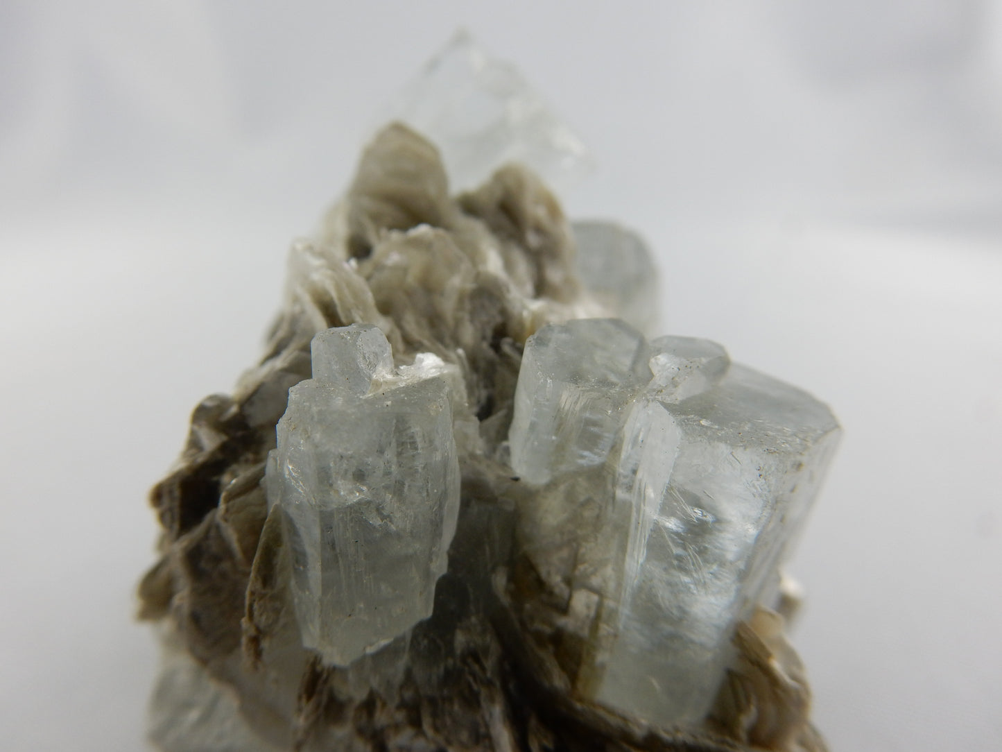 Aquamarine - multiple Crystals on Matrix