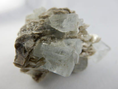 Aquamarine - multiple Crystals on Matrix