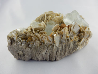 Aquamarine cluster - sky-blue multiple x 10 perfectly terminated aquas on a nice bed of sparkly muscovite, nice presented