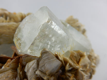 Aquamarine Cluster - Museum piece