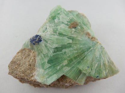 radiating Green Sprays with Azurite flower! - gemmy round sparkles of aragonite on matrix of calcite