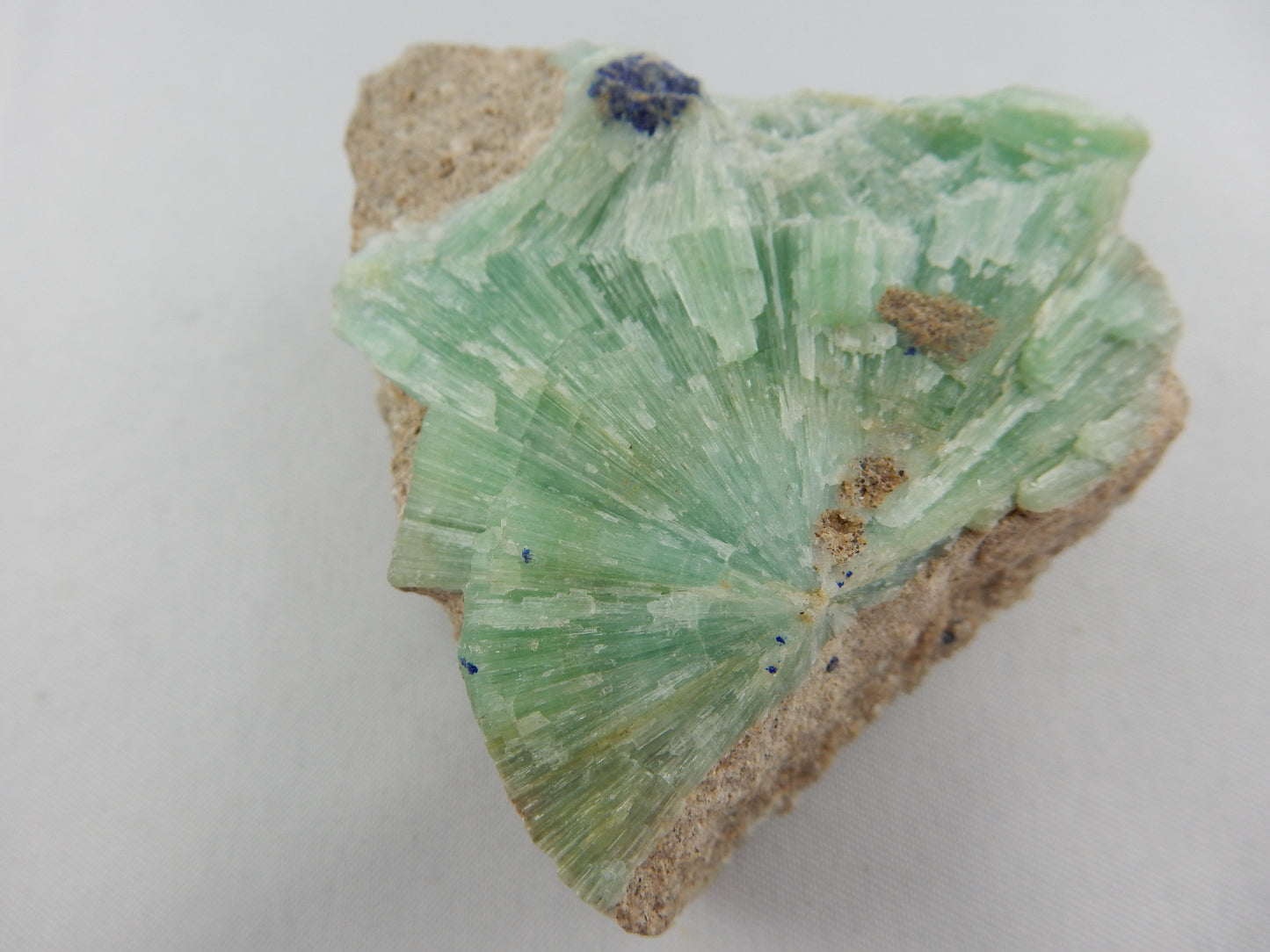 Aragonite - Green Spray