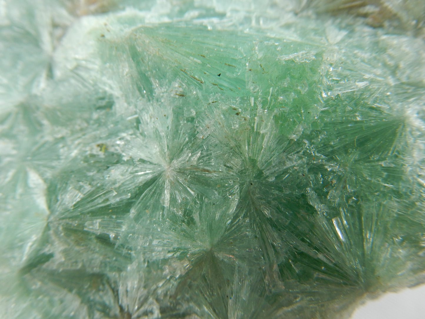 Aragonite - Green Spray