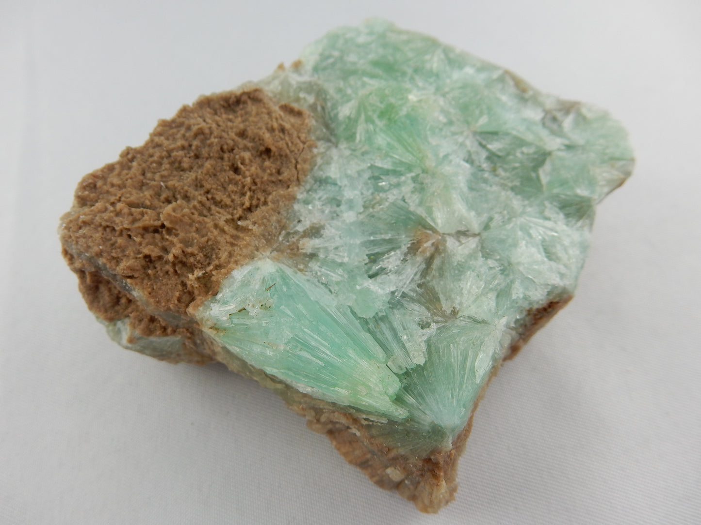 Aragonite - Green Spray