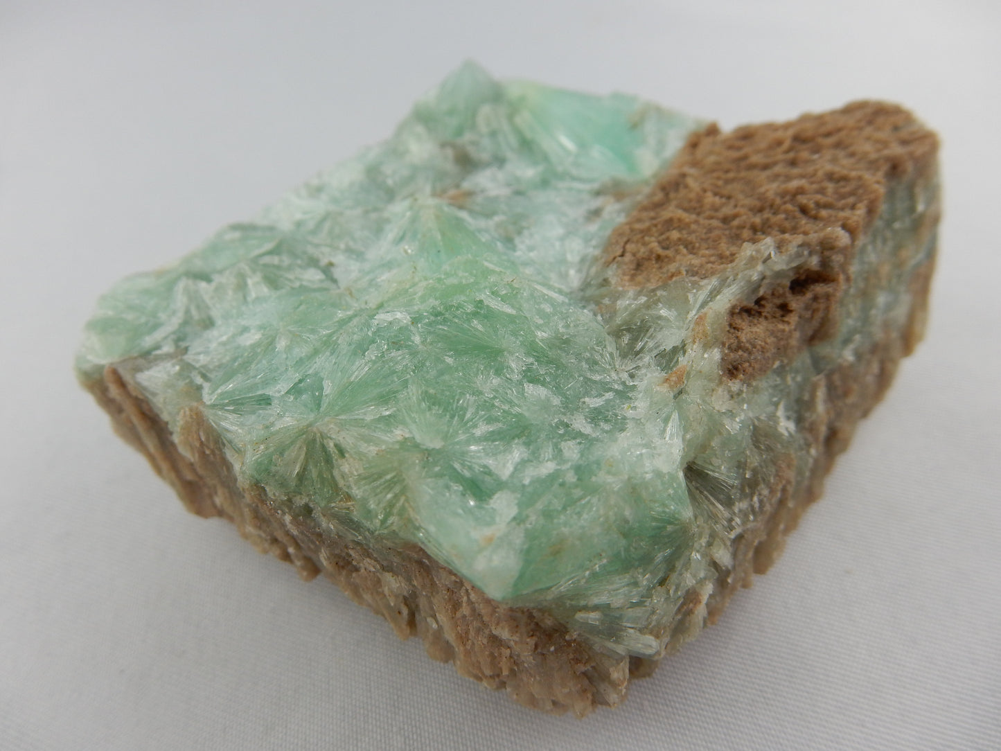 Aragonite - Green Spray