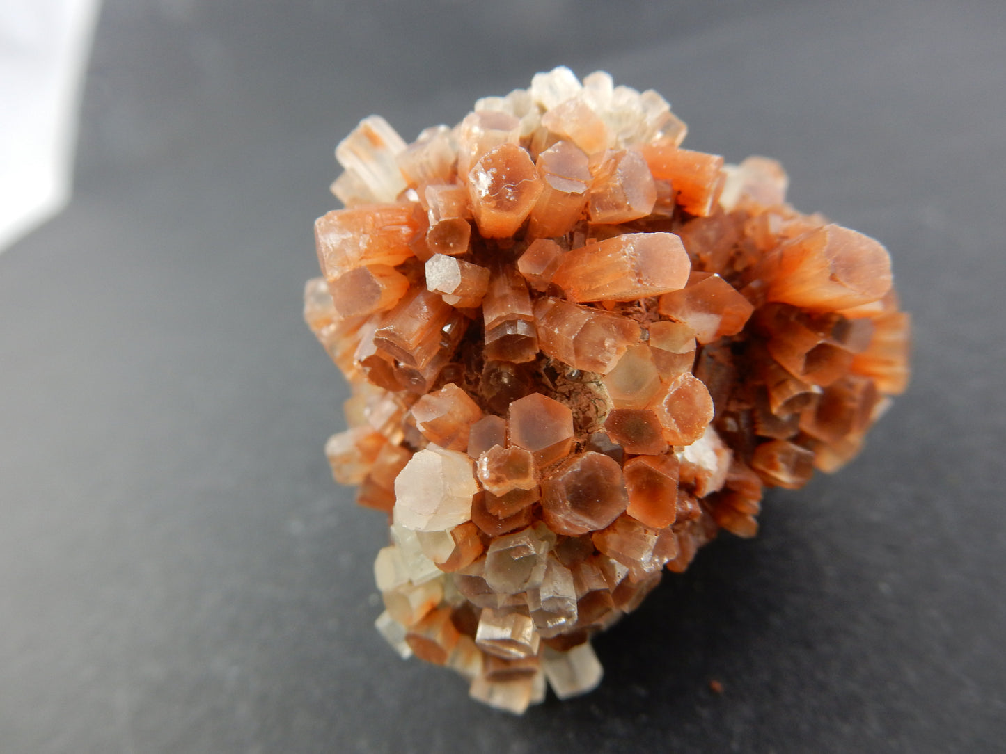 Aragonite "Hedgehog"
