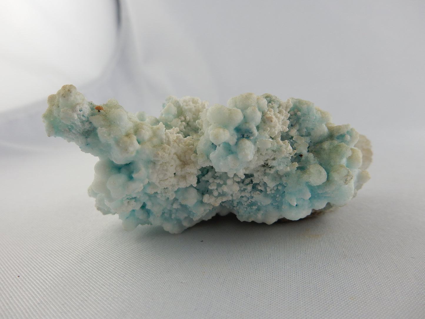 Delicate "snow aragonite" with white/blue cave growths