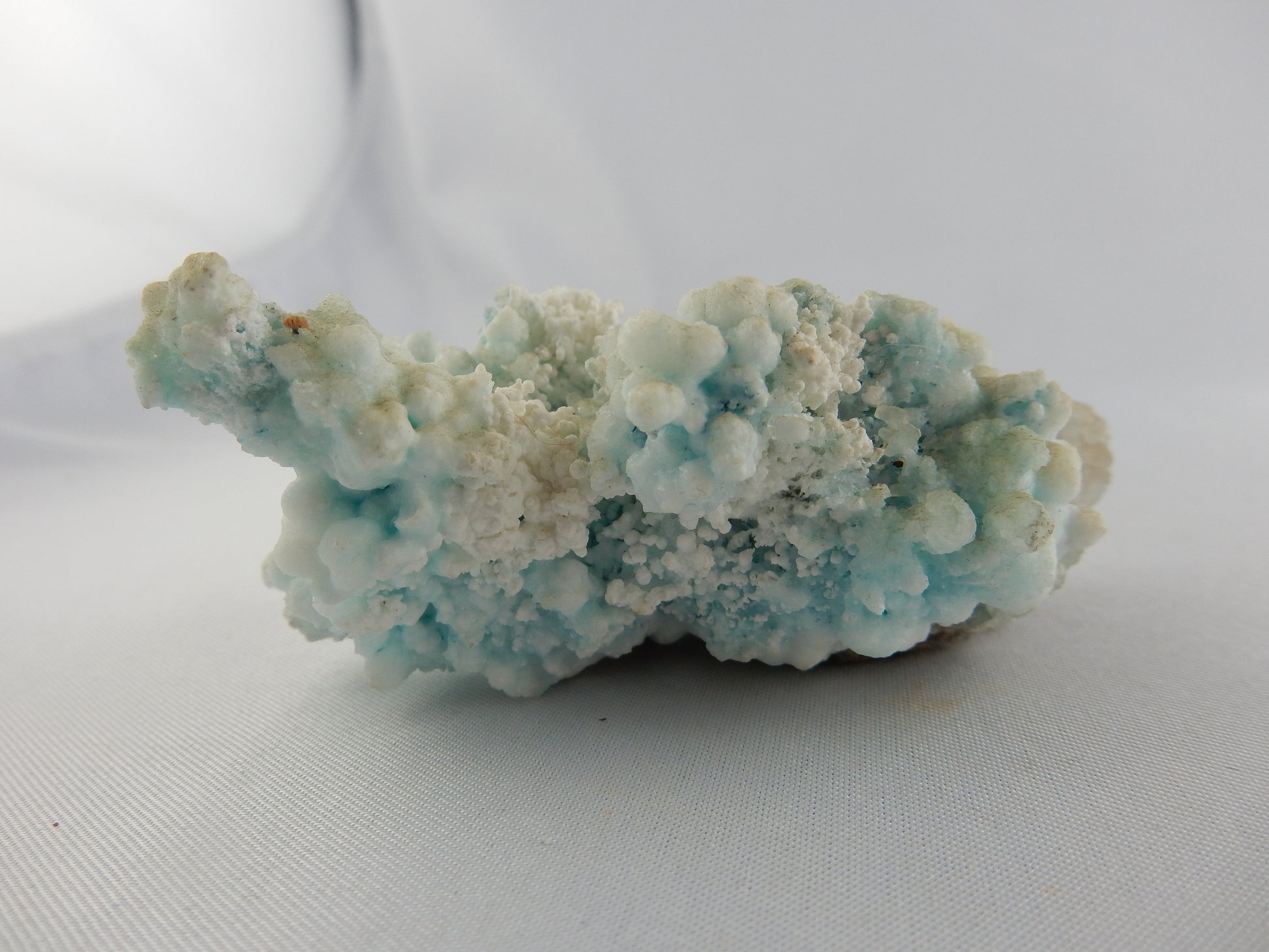 Delicate "snow aragonite" with white/blue cave growths