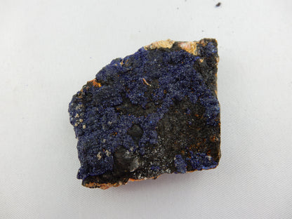 Azurite - gemmy Plate