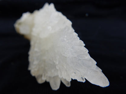 Calcite "Angel Wings"