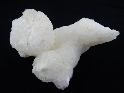 Calcite - interesting Wind-curved sparkly "Helecite" from mine tunnels in Utah