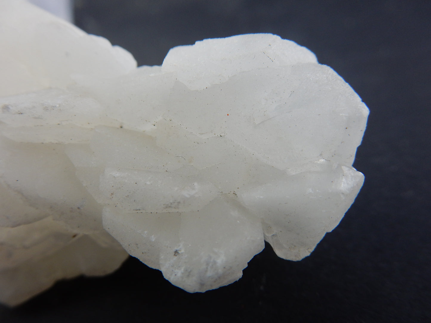 Calcite "White Blades"
