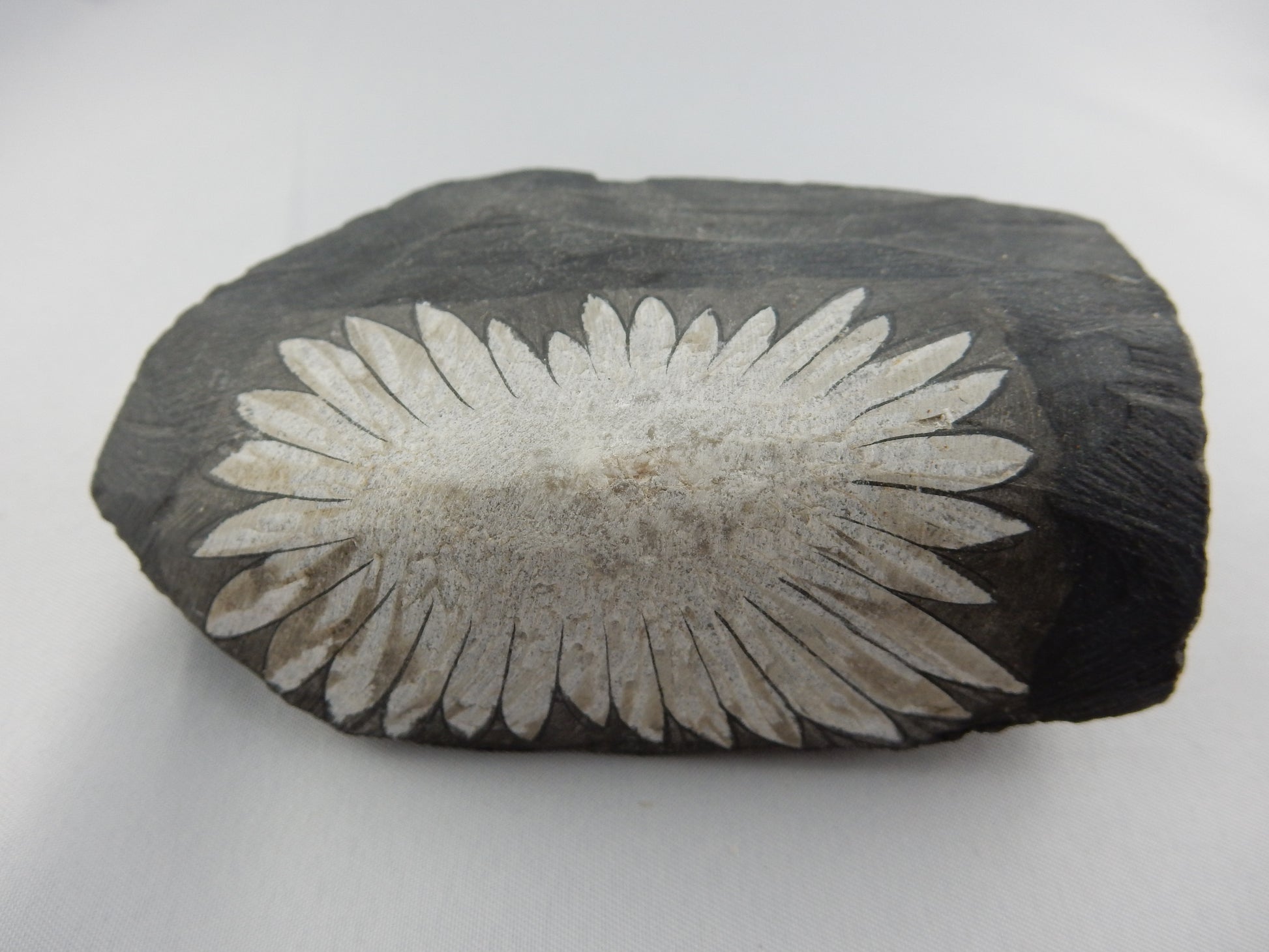 Chrysanthemum stone - a natural crystal of celestine-calcite