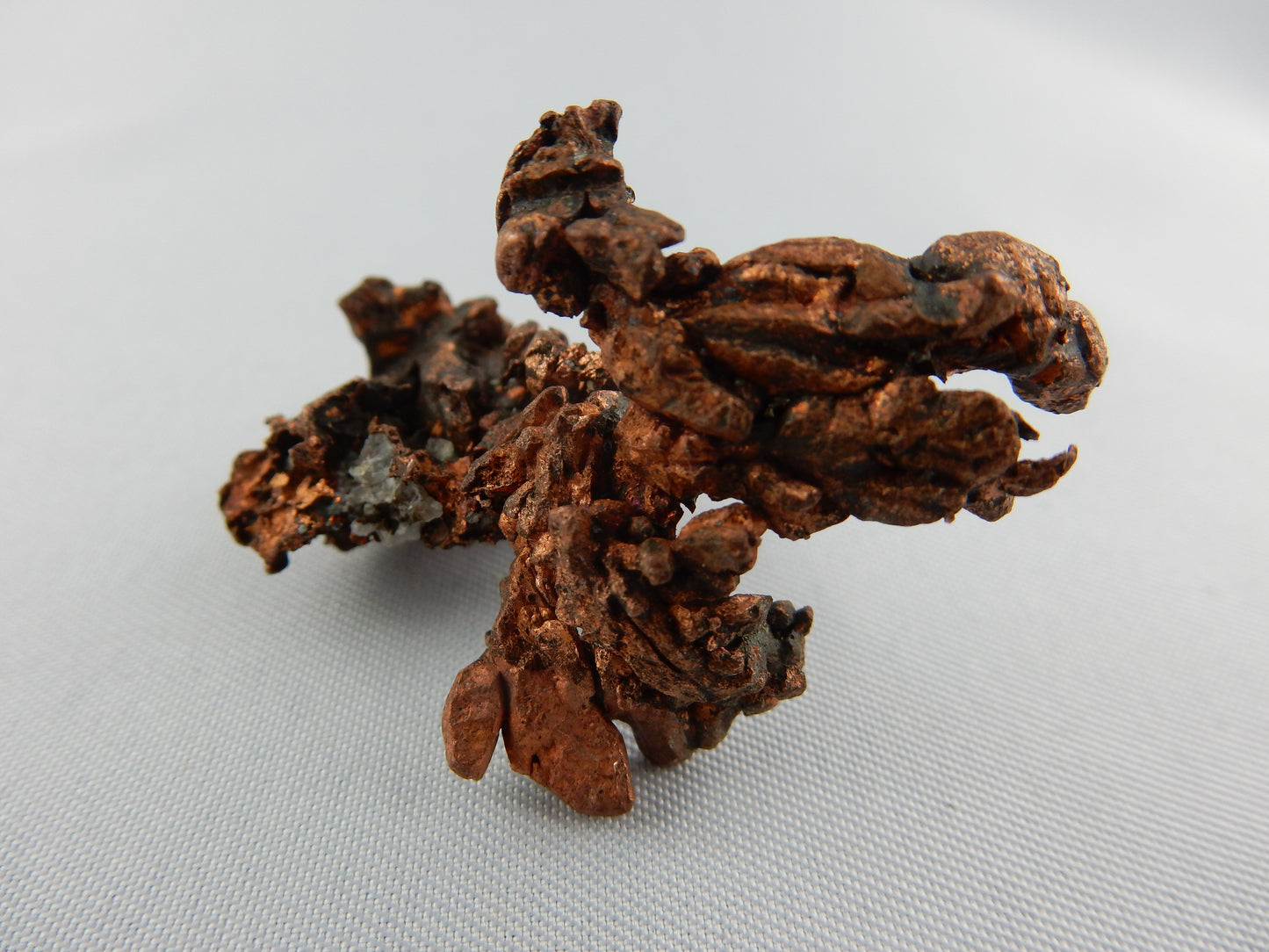 rare crystalised copper - spinel twins - beautiful
