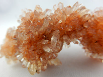 Creedite