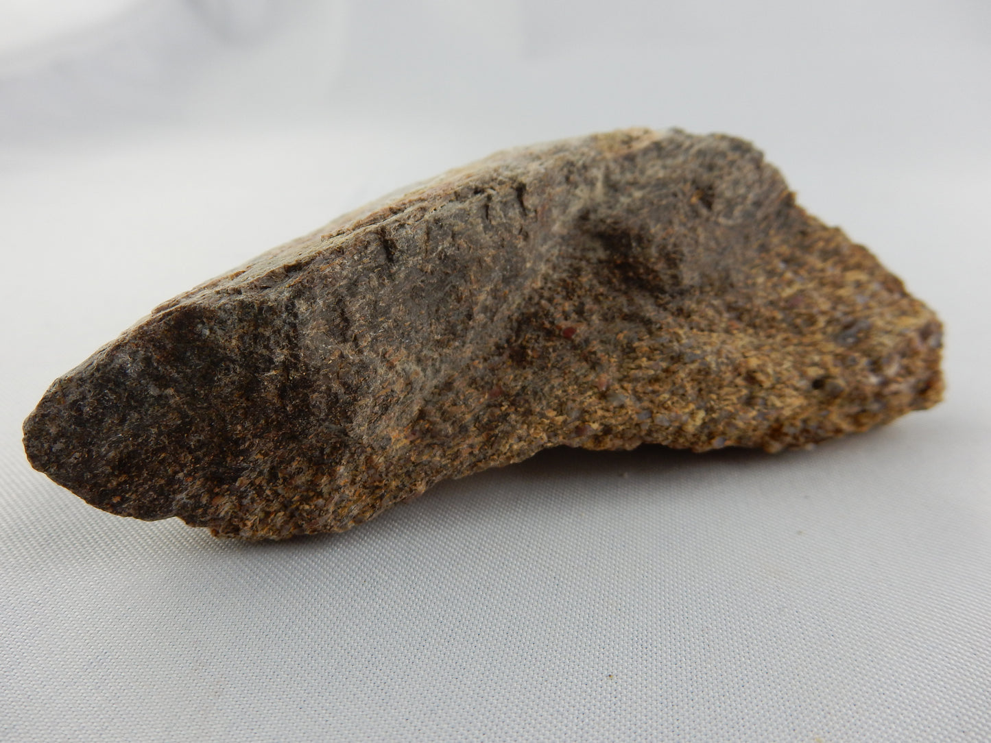 Dinosaur Bone (polished face)