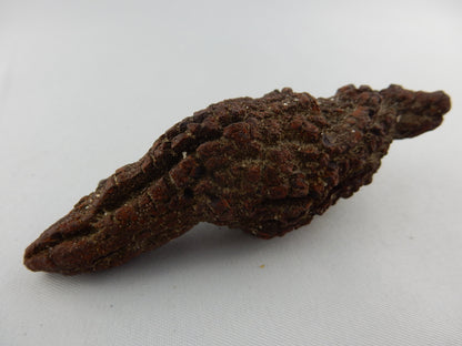 Coprolite (Turtle Dino poop)