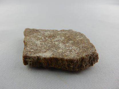 Dinosaur Egg Shell - Titanosauridae