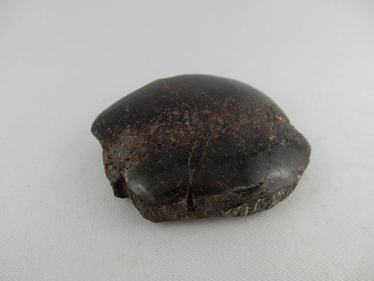 Excellent specimen of visible cellular structure of Dino Bone (probably Hadrosaur) from Utah - end polished and rest natural