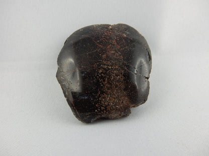 Dinosaur Bone Slab polished