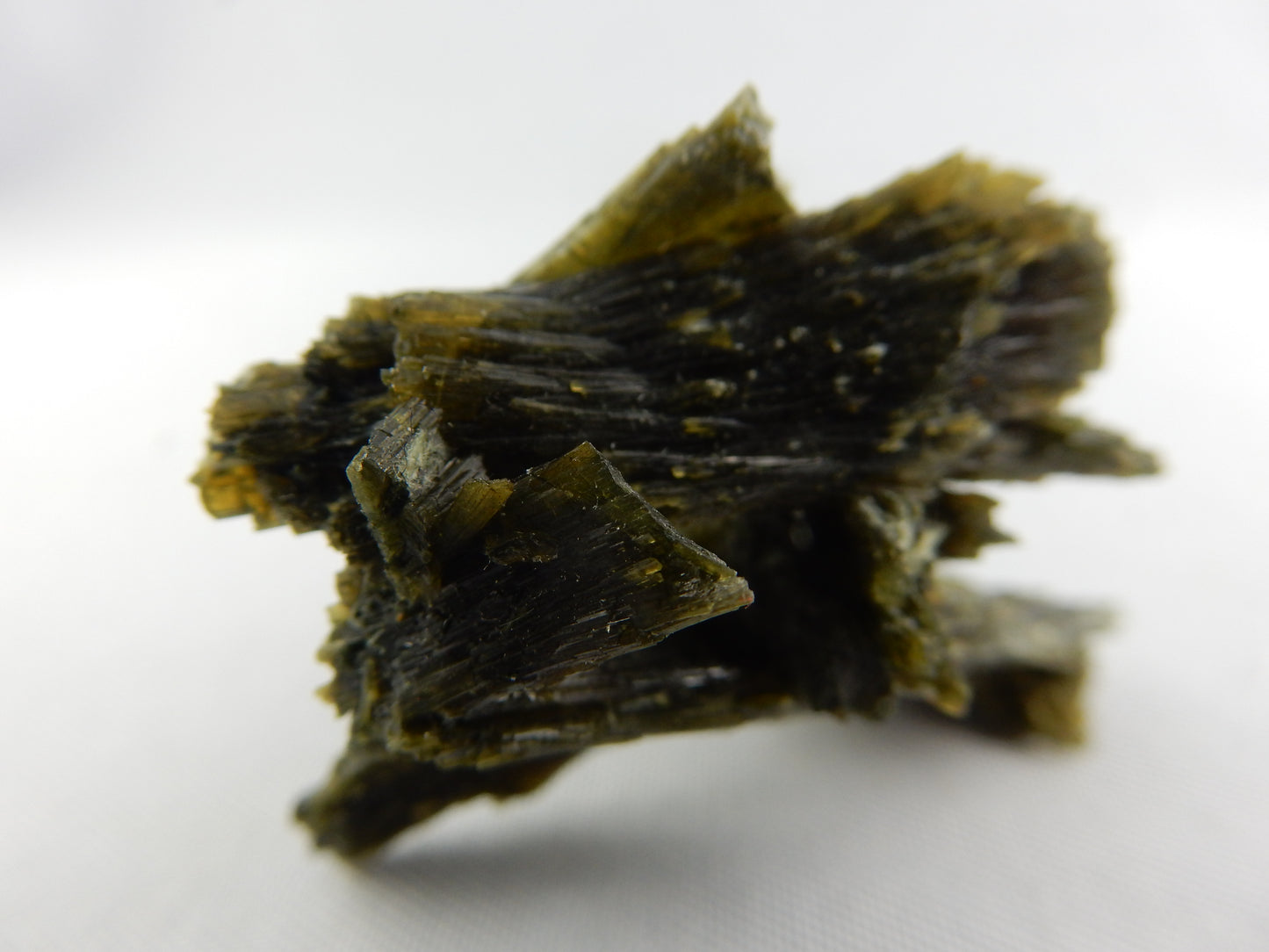 Epidote "Spray"