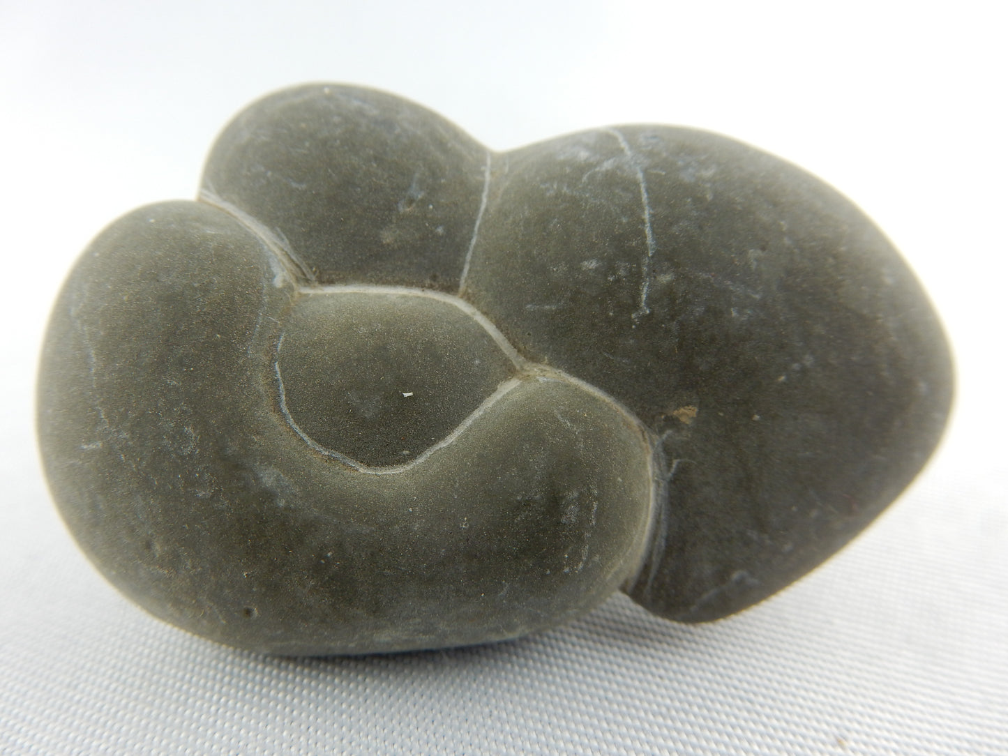 Fairy Stone natural concretion