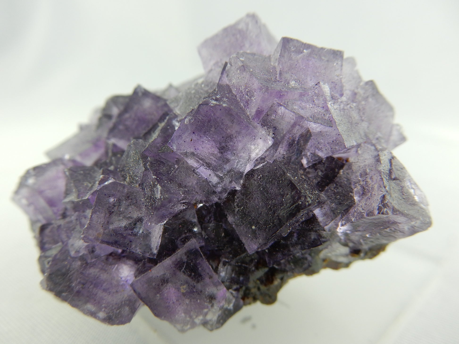 Fluorite on Sphalerite - a classic combination from world-famous Elmwood Mine - running out, only as specimens now