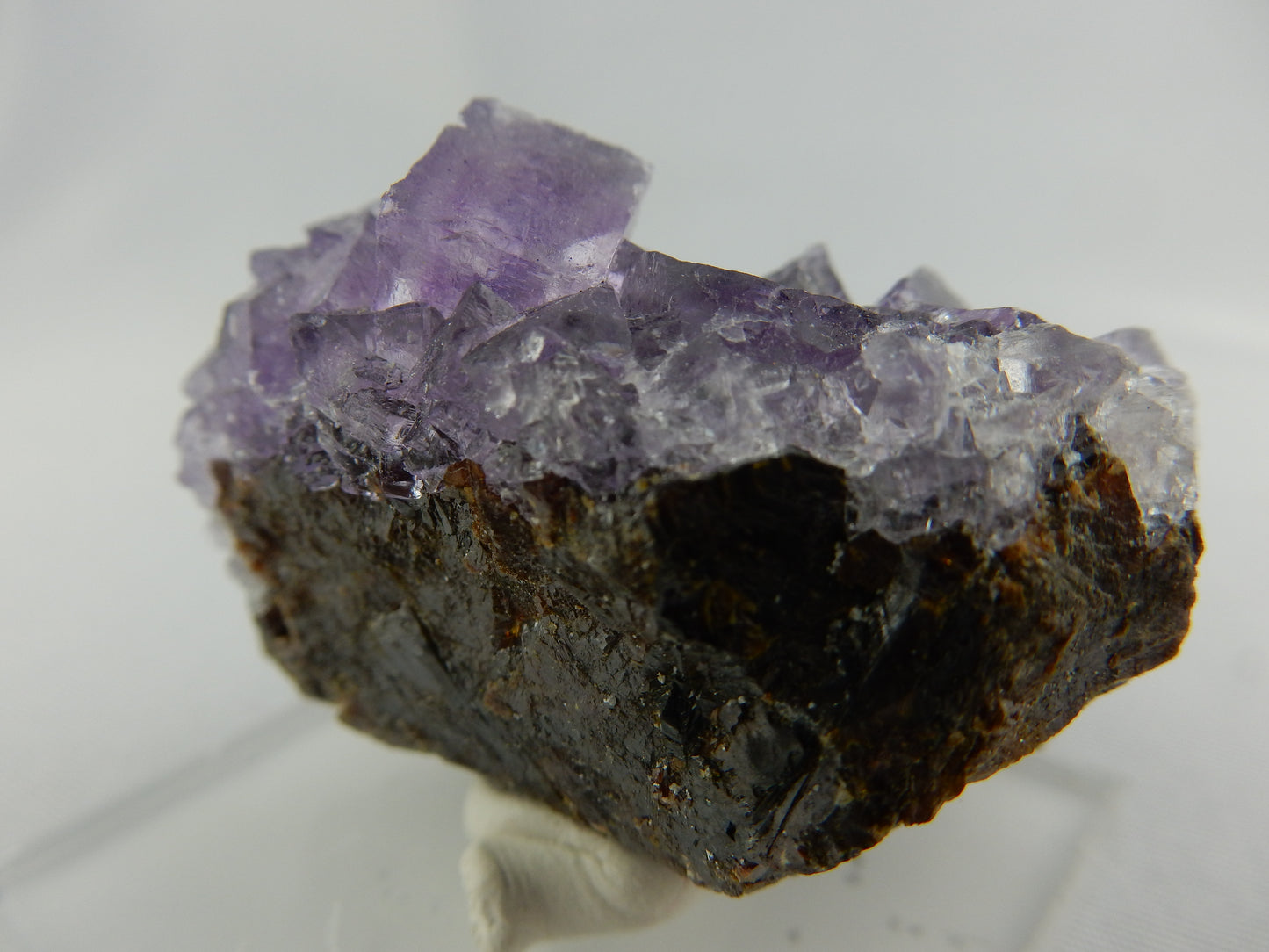 Fluorite on Sphalerite - Elmwood Mine USA