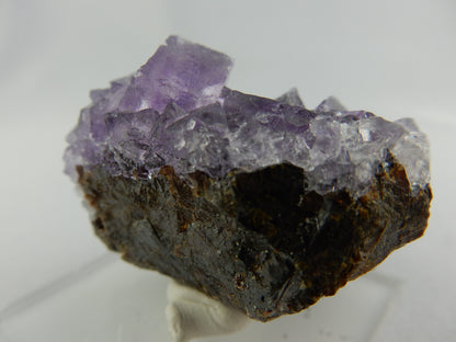 Fluorite on Sphalerite - Elmwood Mine USA