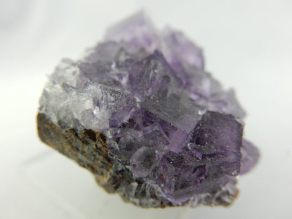 Fluorite on Sphalerite - Elmwood Mine USA