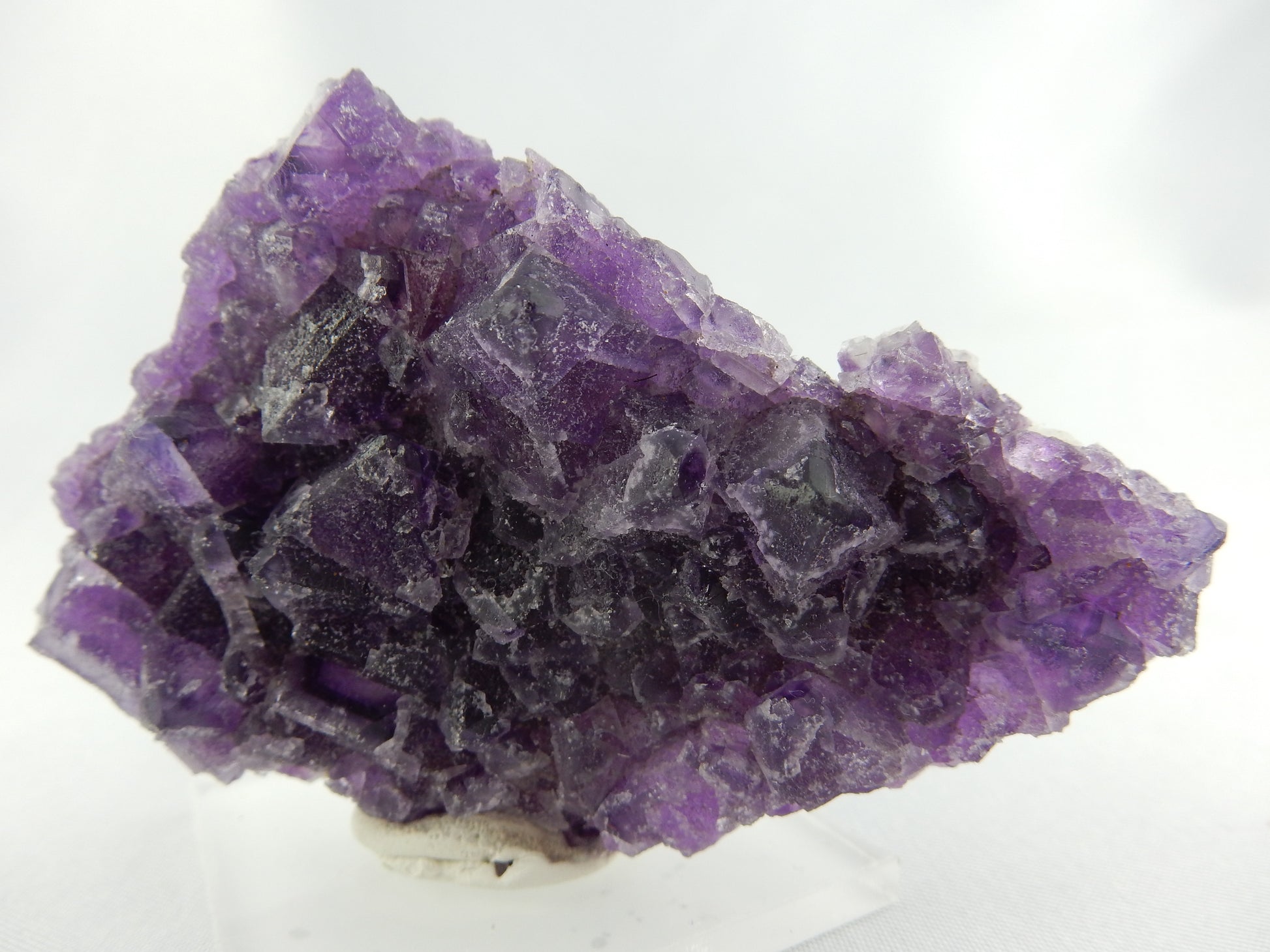 nice plate of dark purple Fluorite cubes