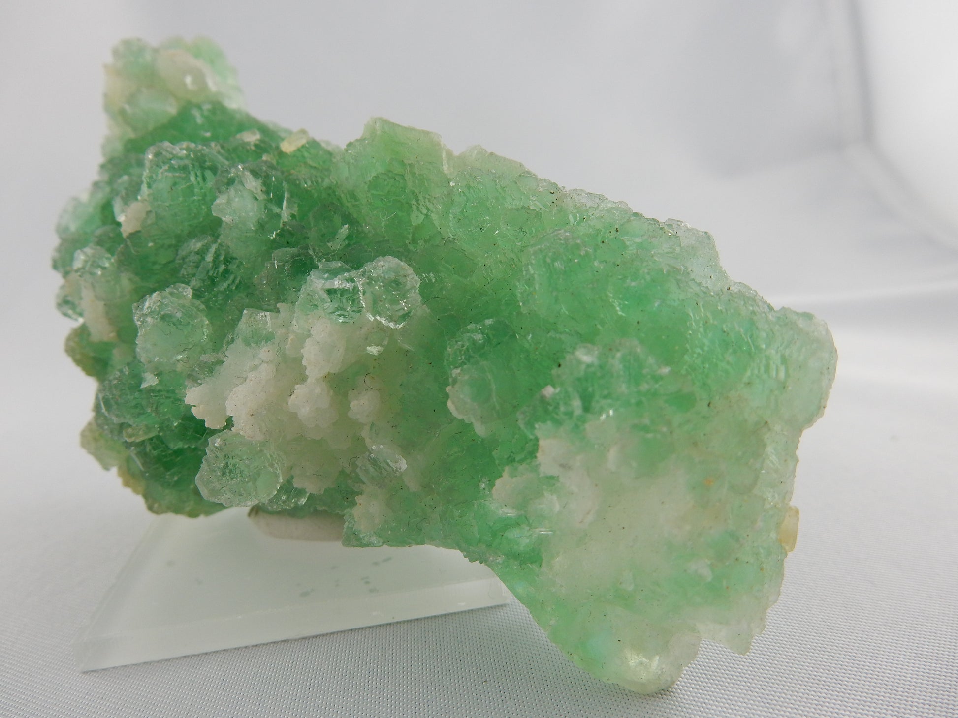 super gemmy modified cubo-octa Fluorite clusters - on contrasting bed of white milky quartz