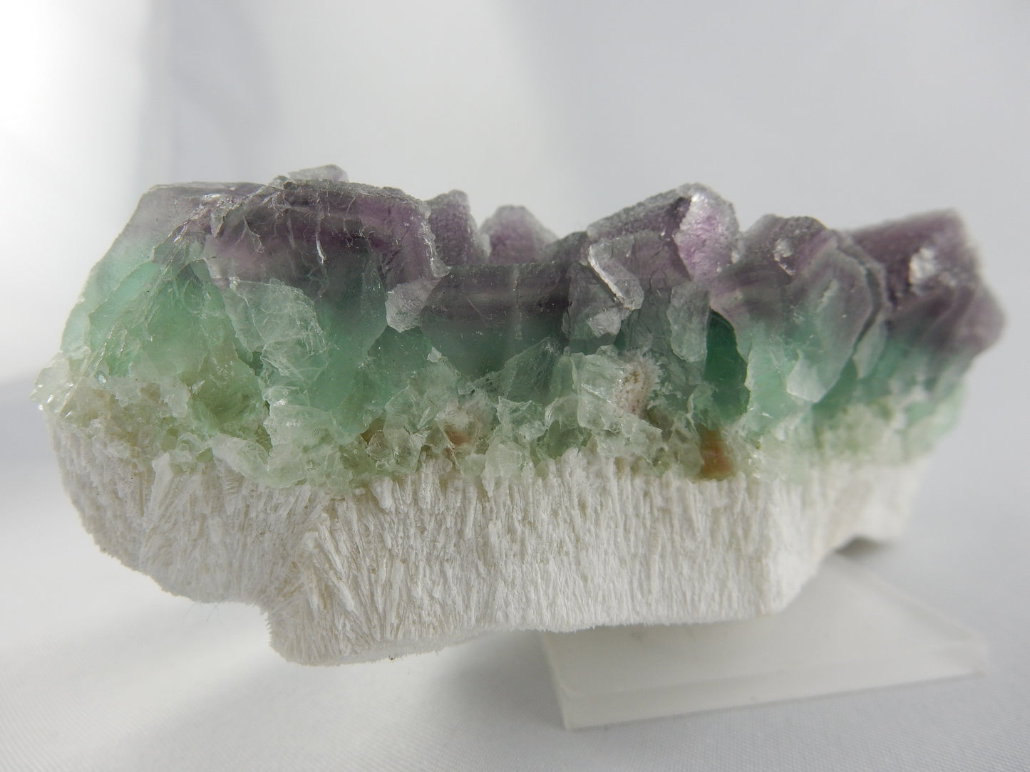 amazing multi-coloured Fluorite with purple tips, green base pyramids - on contrasting bed of white milky quartz, nicely prepared