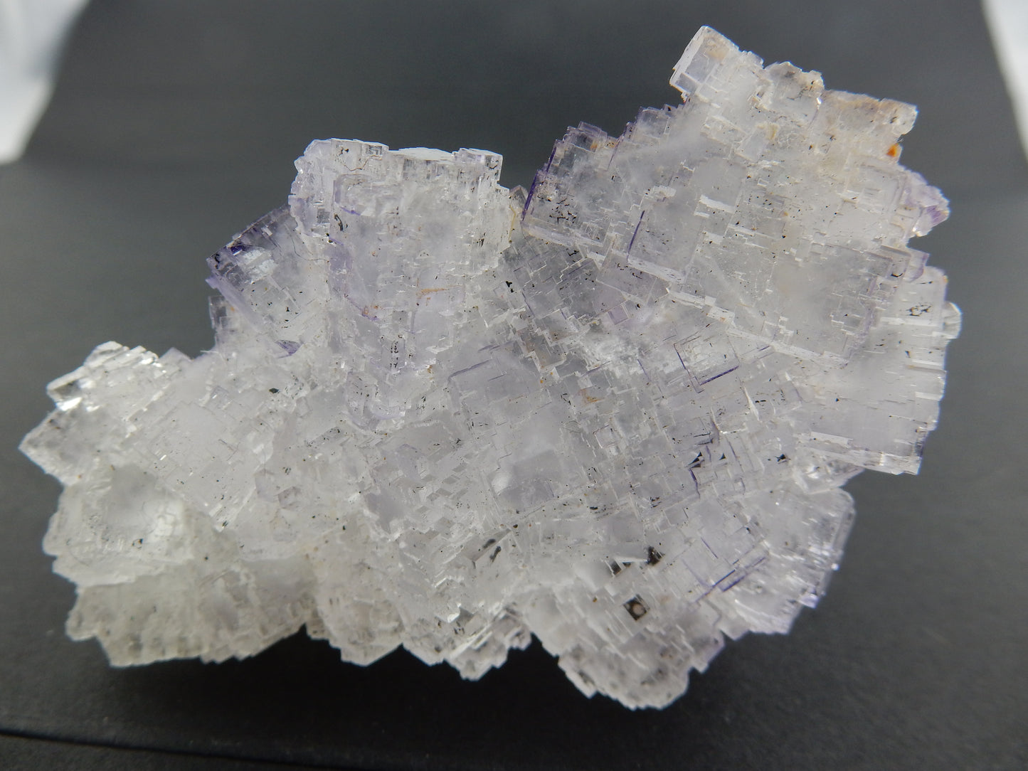 Fluorite - Tule Mexico