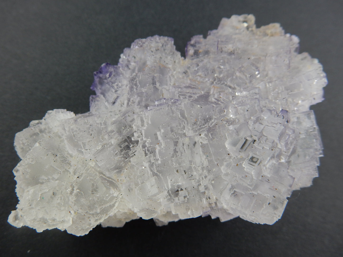 Fluorite - Tule Mexico
