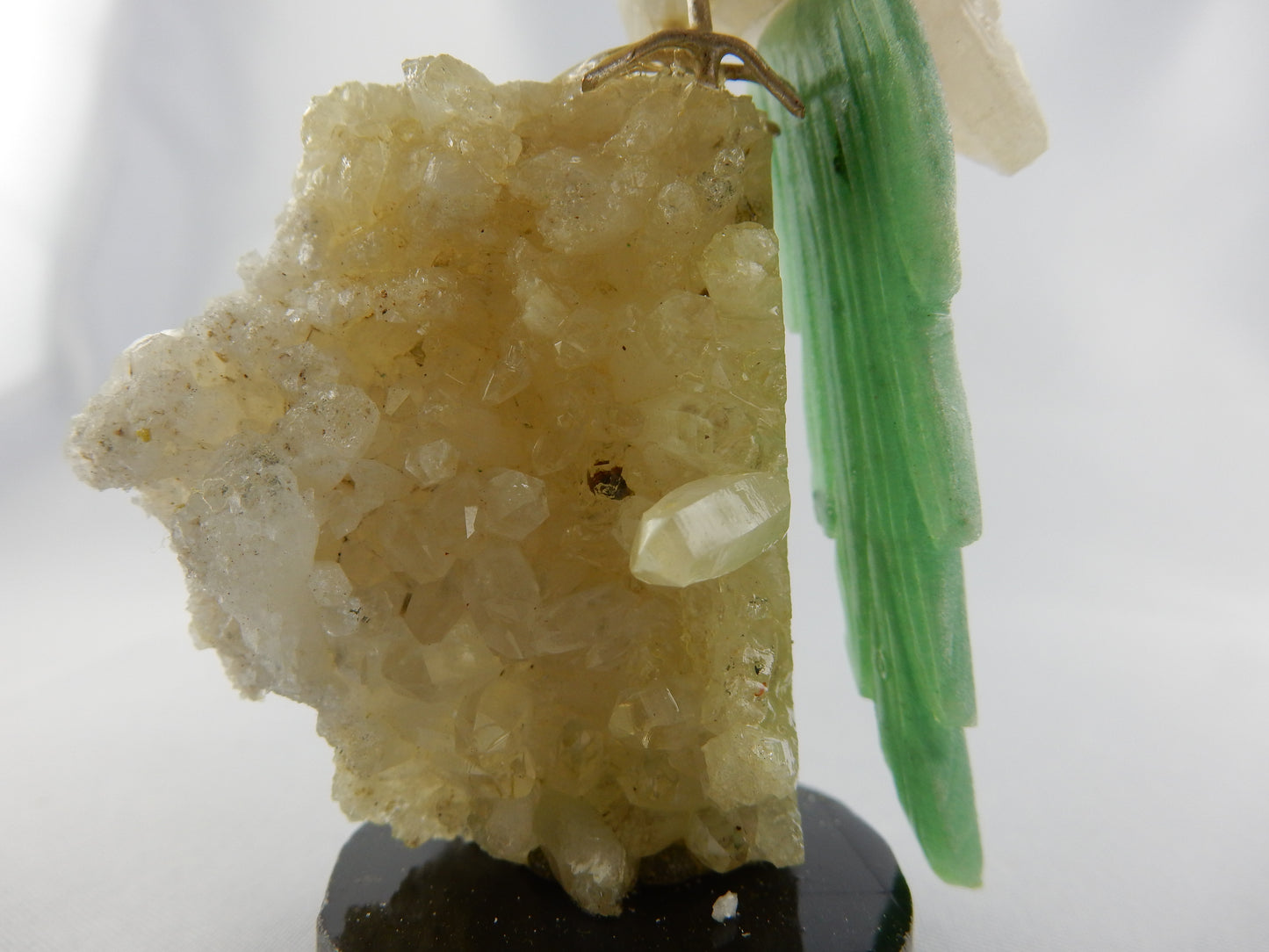 Gemstone Bird - Parrot