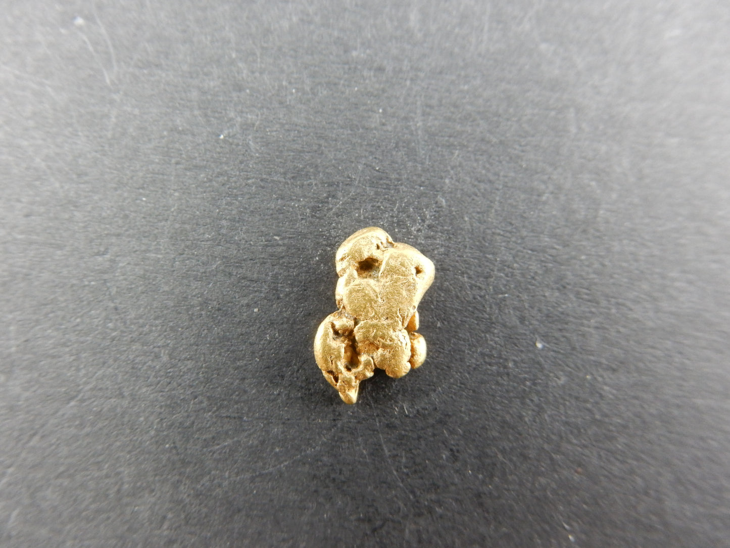 "The Marmot" shaped nice little chunky pure gold nugget