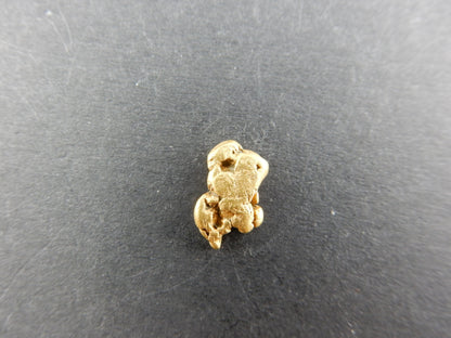 "The Marmot" shaped nice little chunky pure gold nugget