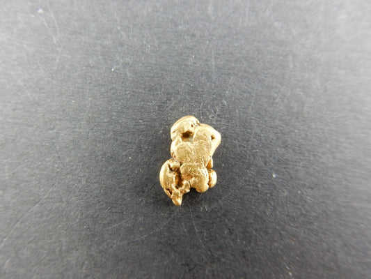 "The Marmot" shaped nice little chunky pure gold nugget