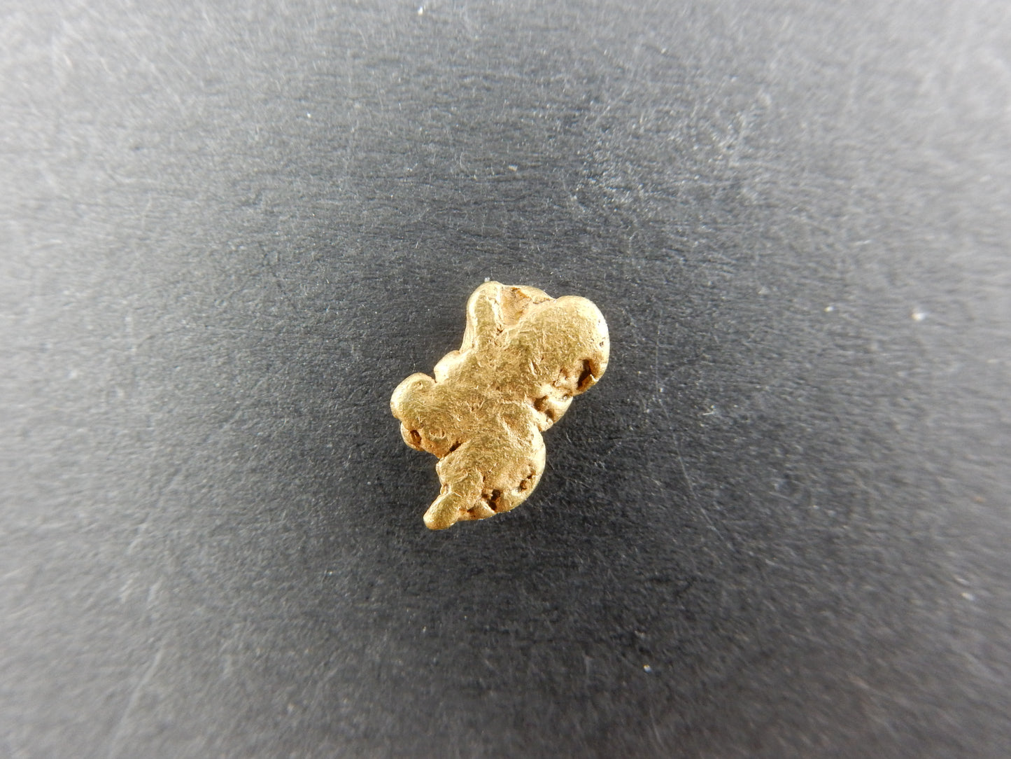 Gold Nugget