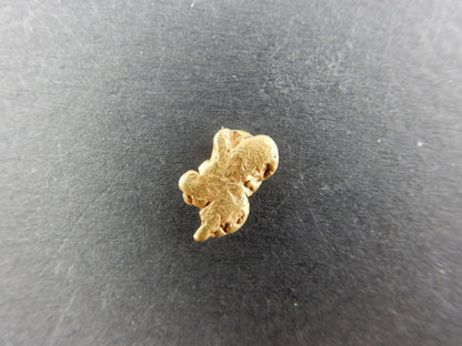 Gold Nugget