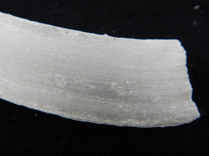Gypsum Cave Caterpillar