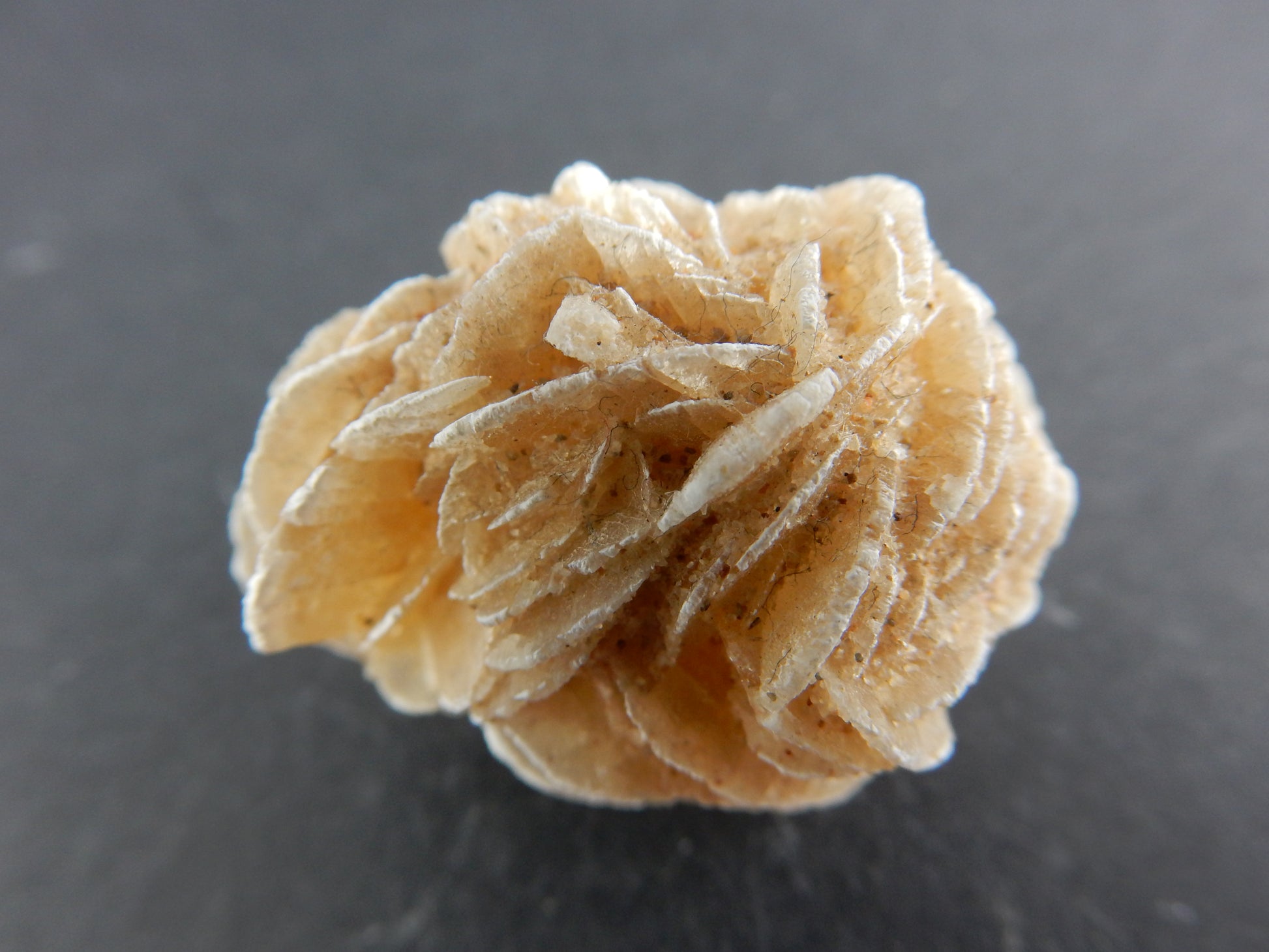 interesting form of gypsum "rose blades" formed in desert sands