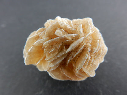 interesting form of gypsum "rose blades" formed in desert sands