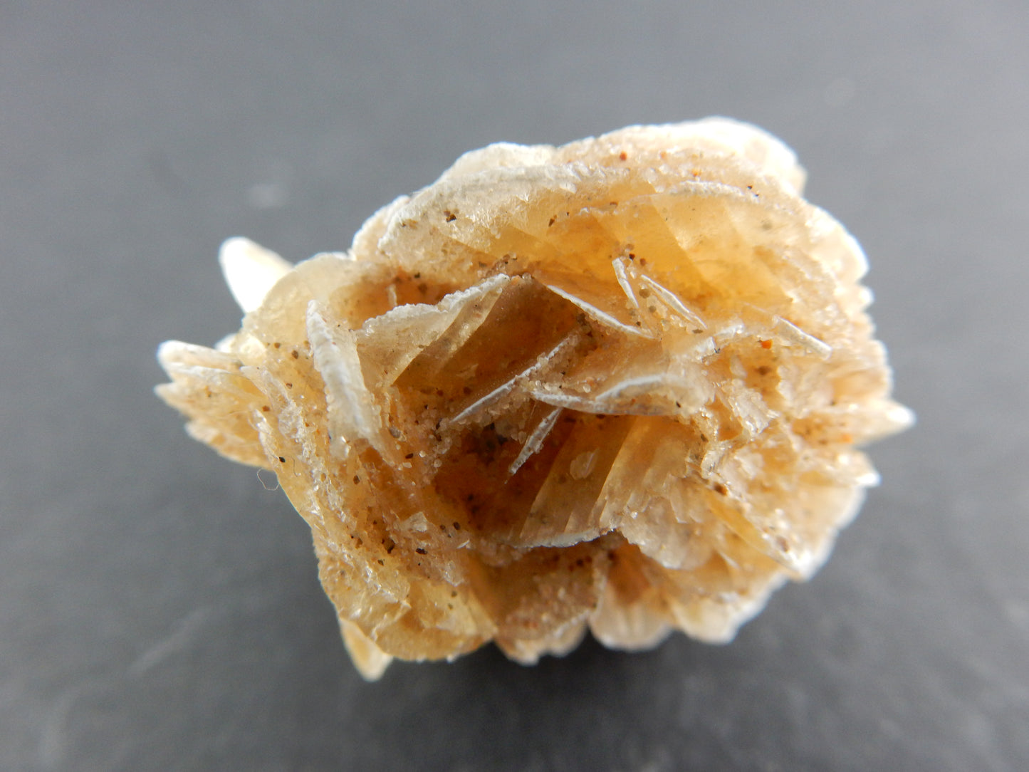 Gypsum "Desert Rose"