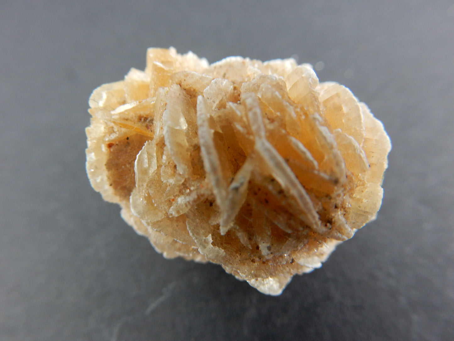 Gypsum "Desert Rose"