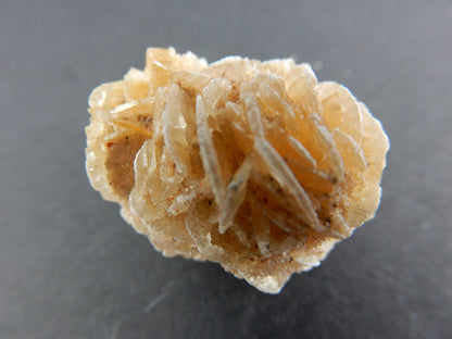Gypsum "Desert Rose"