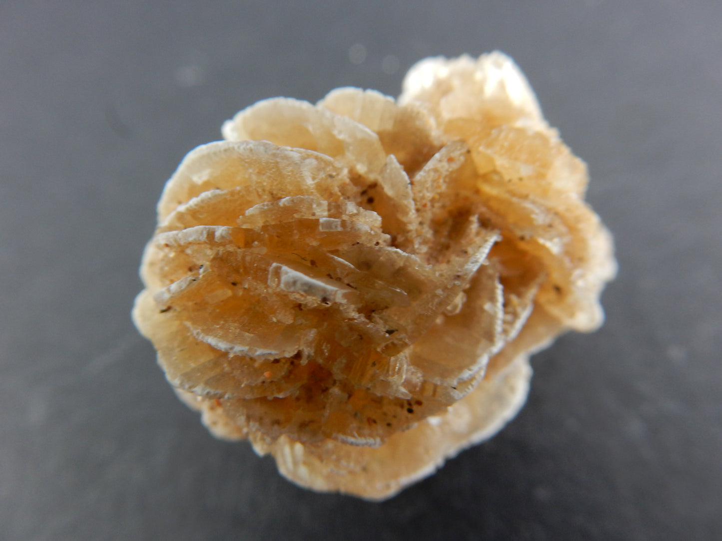 Gypsum "Desert Rose"