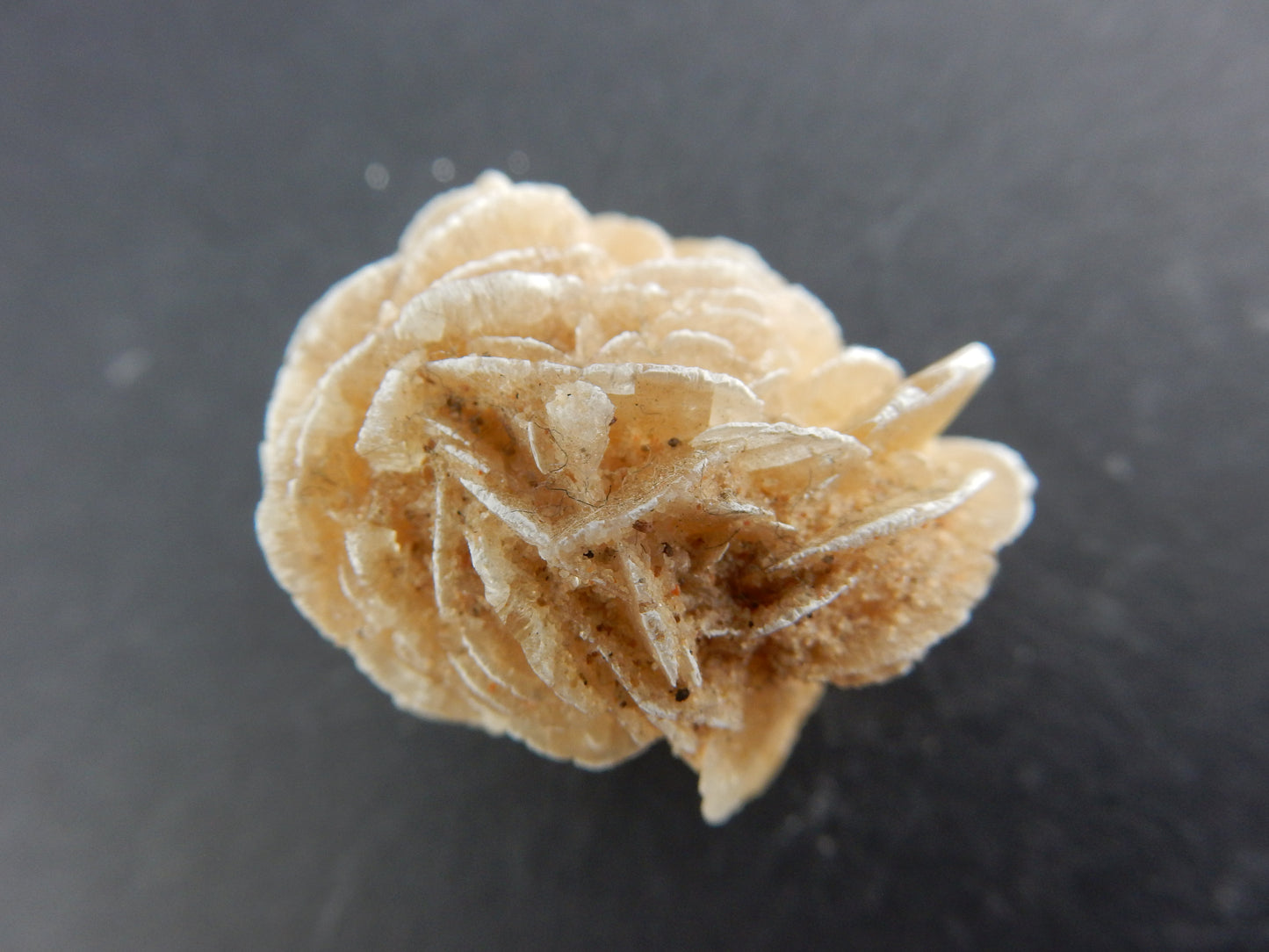 Gypsum "Desert Rose"