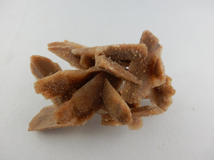 More rae crystal form of elongated double-terminated blades of Selenite (Gypsum) with sand visible inside